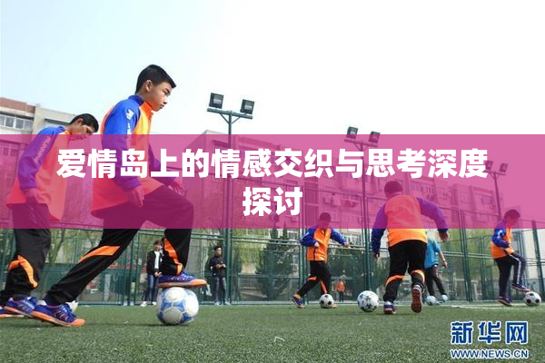 爱情岛上的情感交织与思考深度探讨