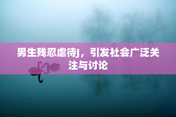 男生残忍虐待J，引发社会广泛关注与讨论