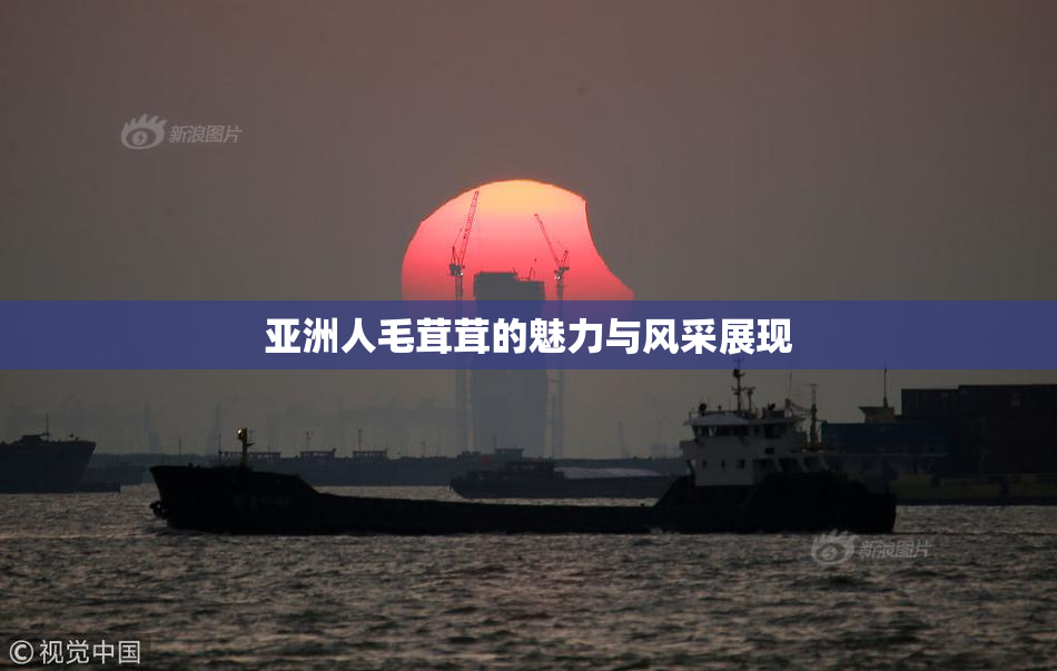 亚洲人毛茸茸的魅力与风采展现