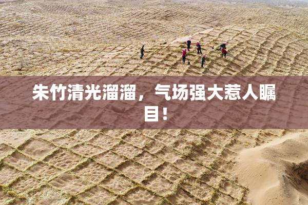 朱竹清光溜溜，气场强大惹人瞩目！