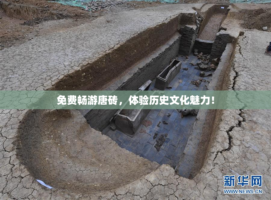 免费畅游唐砖，体验历史文化魅力！