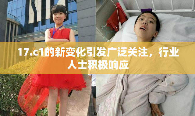 17.c1的新变化引发广泛关注，行业人士积极响应