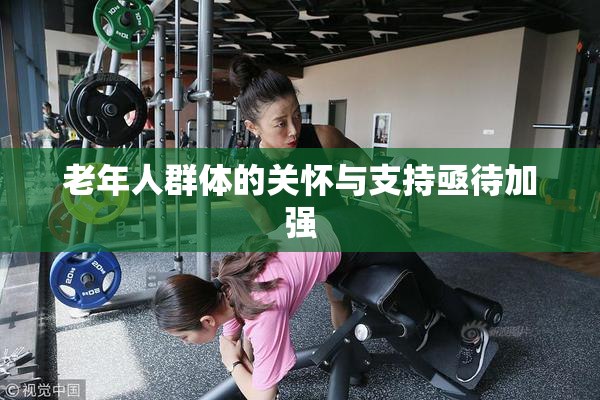老年人群体的关怀与支持亟待加强