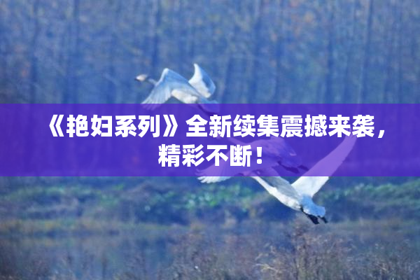 《艳妇系列》全新续集震撼来袭，精彩不断！