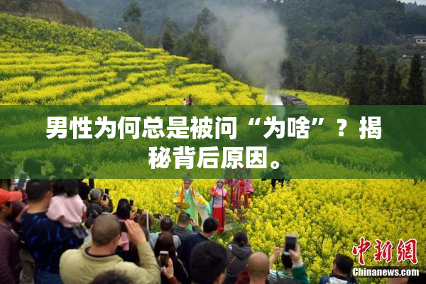 男性为何总是被问“为啥”？揭秘背后原因。