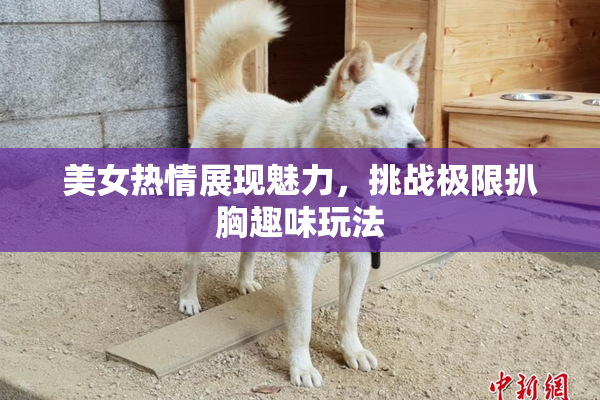 美女热情展现魅力，挑战极限扒胸趣味玩法