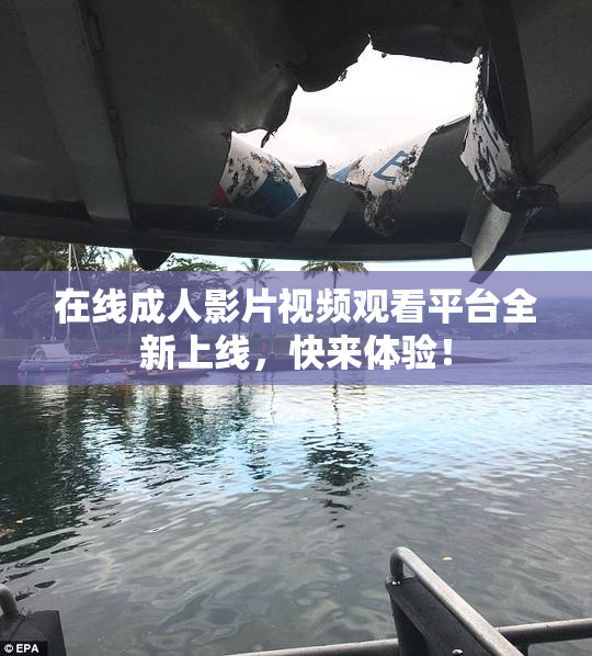 在线成人影片视频观看平台全新上线，快来体验！