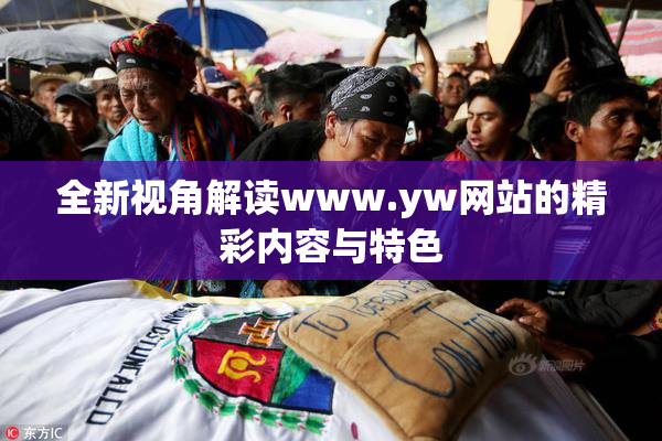 全新视角解读www.yw网站的精彩内容与特色