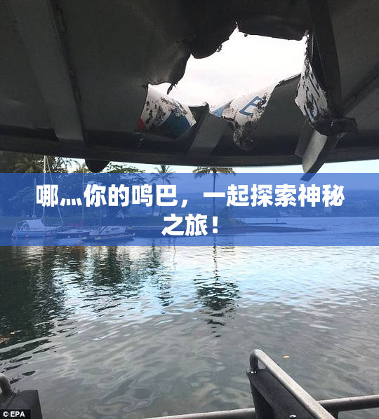 哪灬你的鸣巴，一起探索神秘之旅！