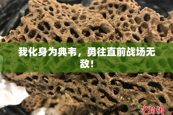 我化身为典韦，勇往直前战场无敌！