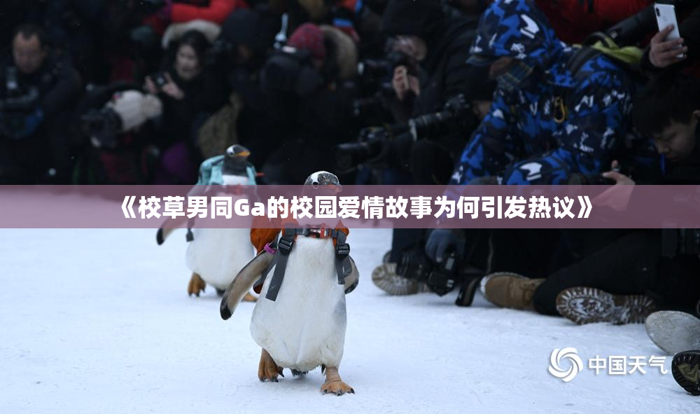 《校草男同Ga的校园爱情故事为何引发热议》