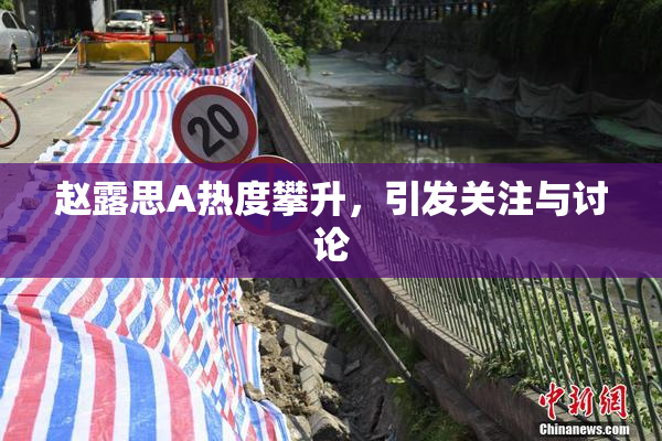 赵露思A热度攀升，引发关注与讨论