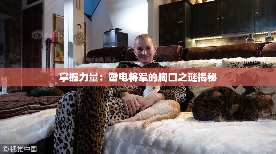 掌握力量：雷电将军的胸口之谜揭秘