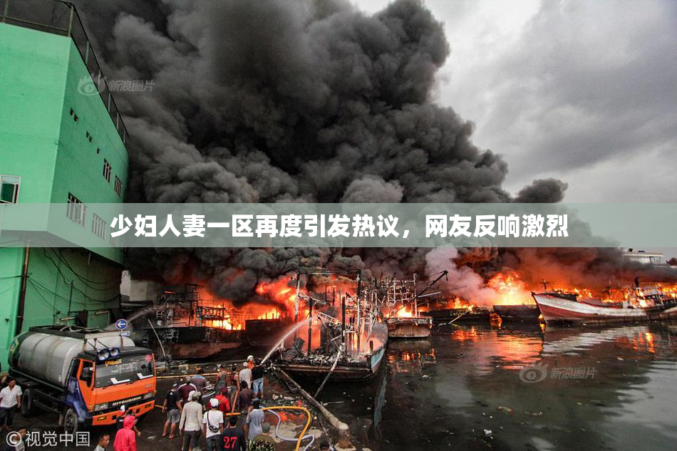 少妇人妻一区再度引发热议，网友反响激烈