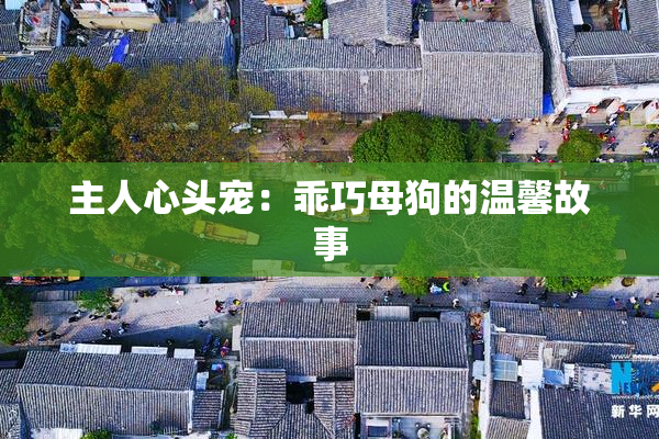 主人心头宠：乖巧母狗的温馨故事