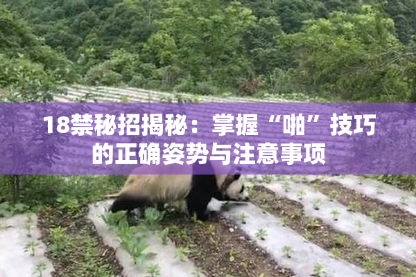 18禁秘招揭秘：掌握“啪”技巧的正确姿势与注意事项