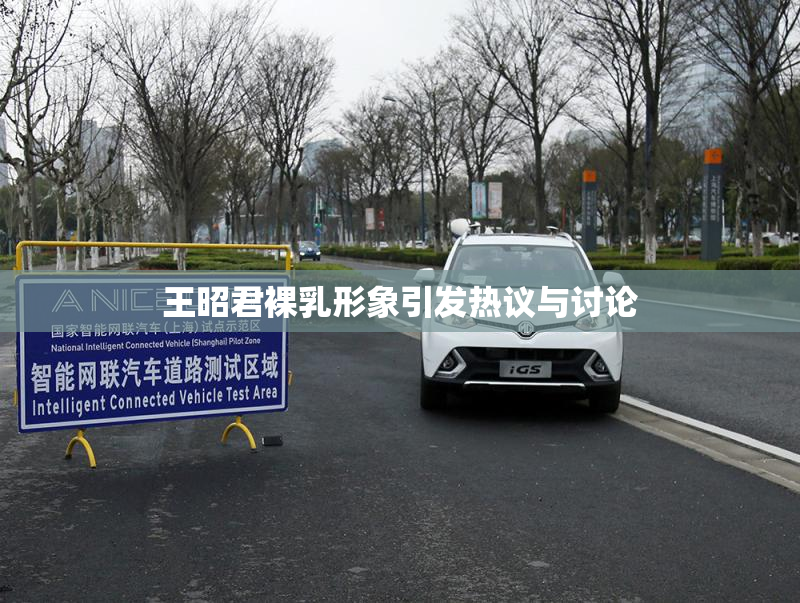 王昭君裸乳形象引发热议与讨论