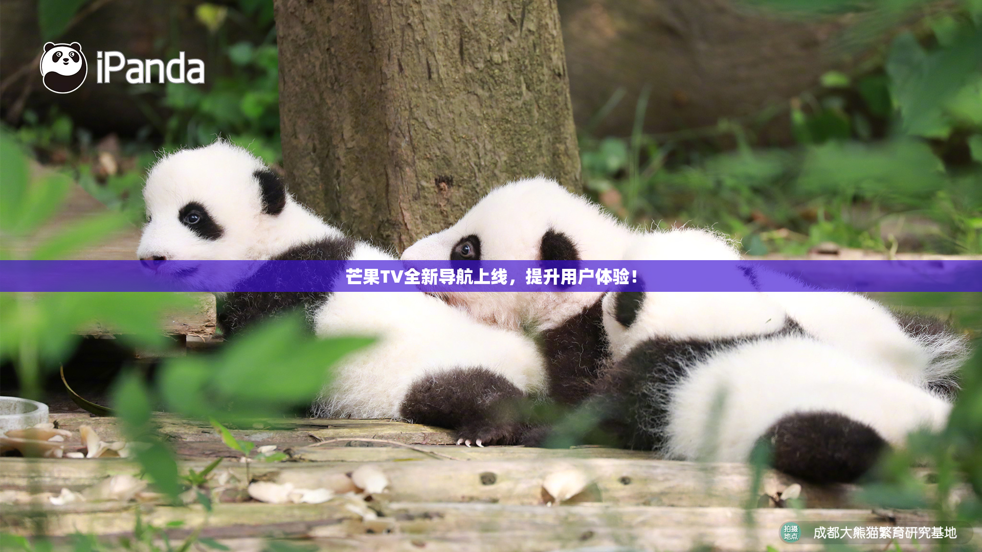 芒果TV全新导航上线，提升用户体验！