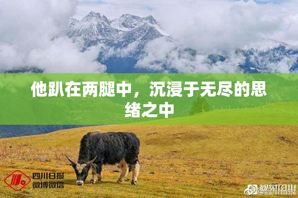他趴在两腿中，沉浸于无尽的思绪之中