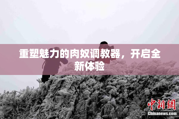 重塑魅力的肉奴调教器，开启全新体验