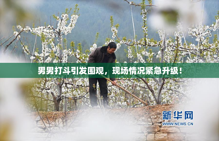 男男打斗引发围观，现场情况紧急升级！