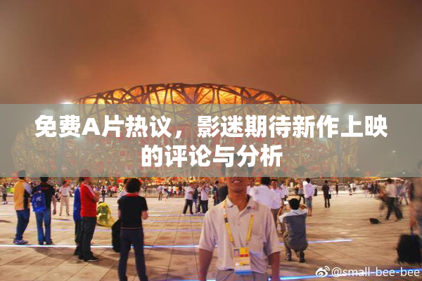 免费A片热议，影迷期待新作上映的评论与分析