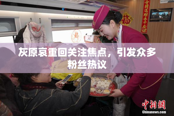 灰原哀重回关注焦点，引发众多粉丝热议