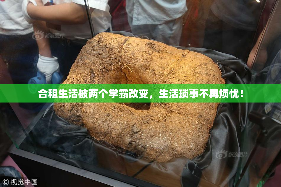 合租生活被两个学霸改变，生活琐事不再烦忧！