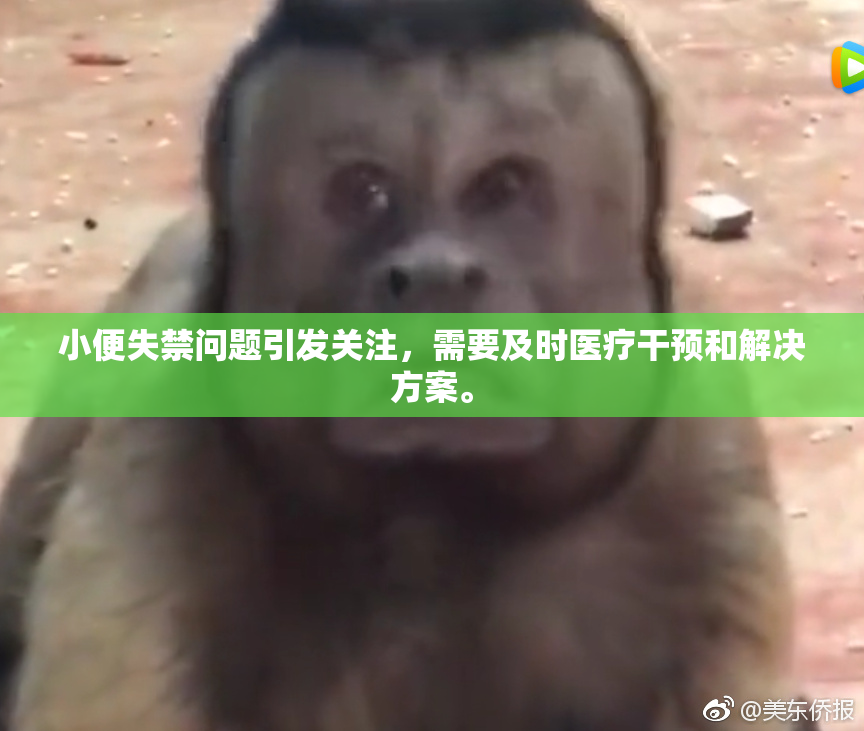 小便失禁问题引发关注，需要及时医疗干预和解决方案。