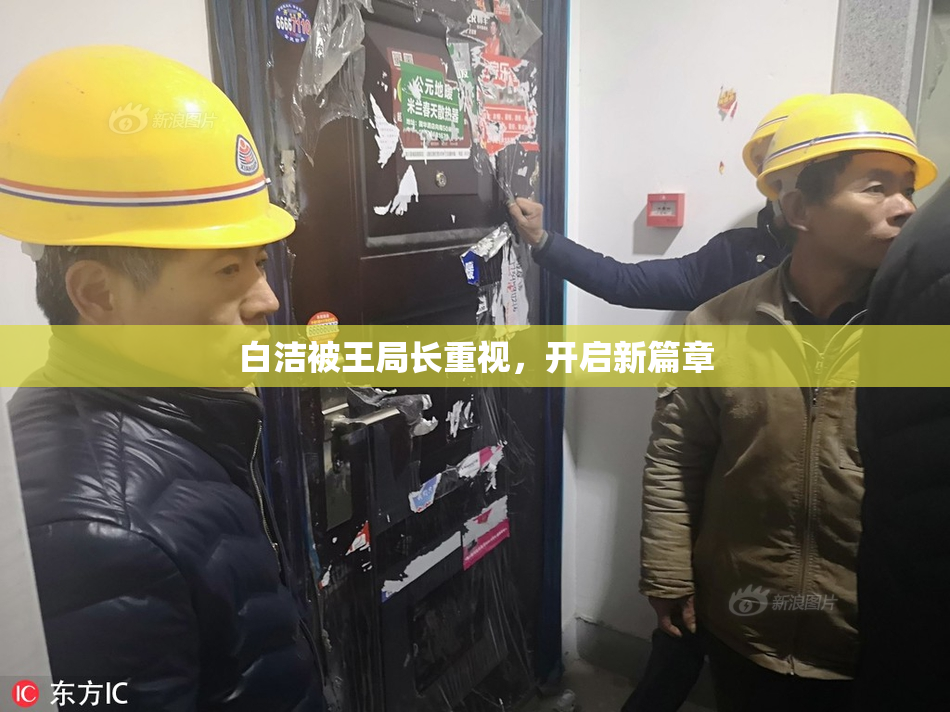 白洁被王局长重视，开启新篇章