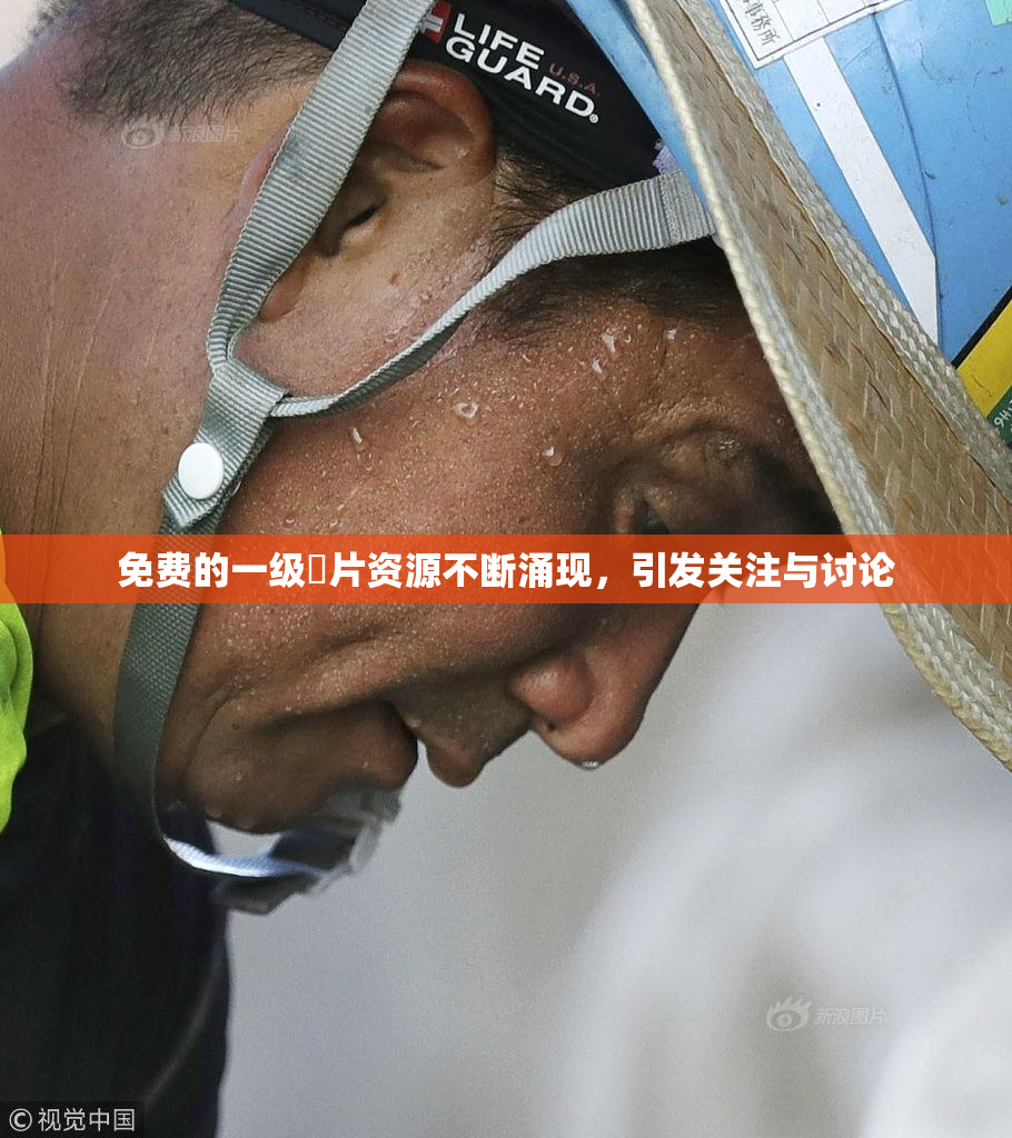 免费的一级婬片资源不断涌现，引发关注与讨论