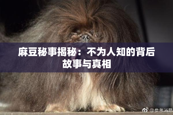 麻豆秘事揭秘：不为人知的背后故事与真相