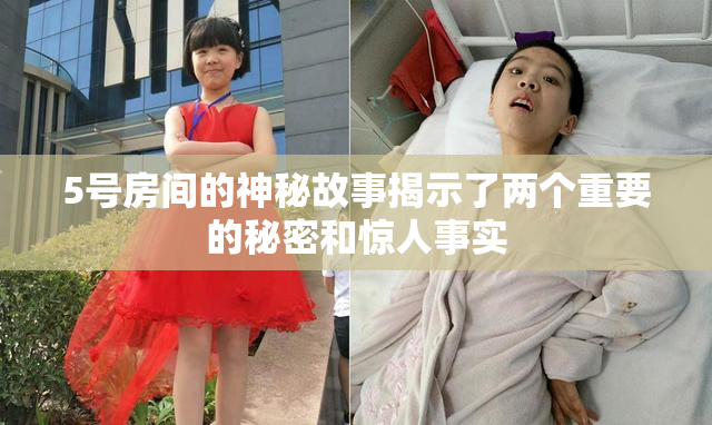 5号房间的神秘故事揭示了两个重要的秘密和惊人事实