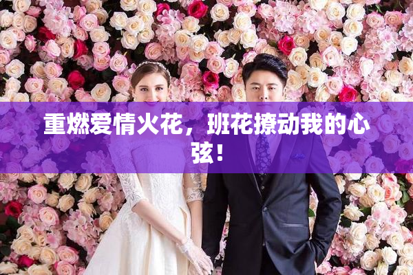 重燃爱情火花，班花撩动我的心弦！