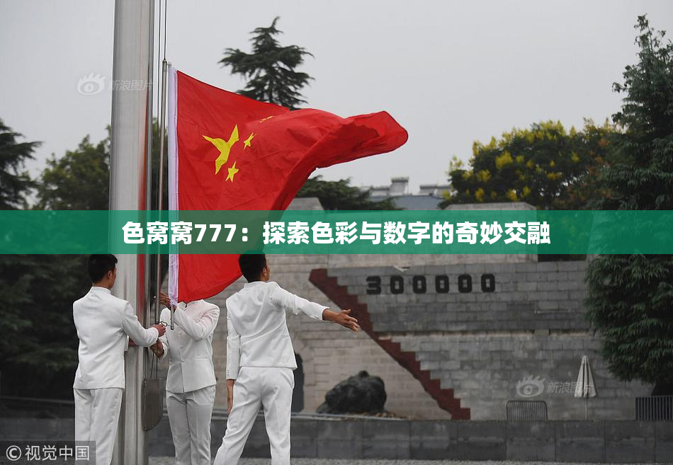 色窝窝777：探索色彩与数字的奇妙交融