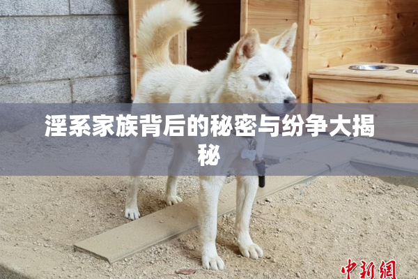 淫系家族背后的秘密与纷争大揭秘