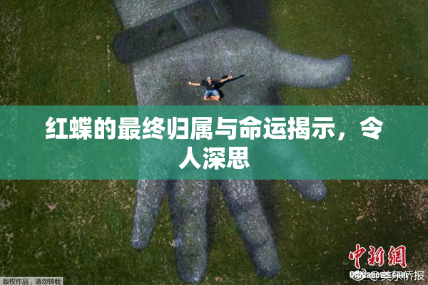 红蝶的最终归属与命运揭示，令人深思