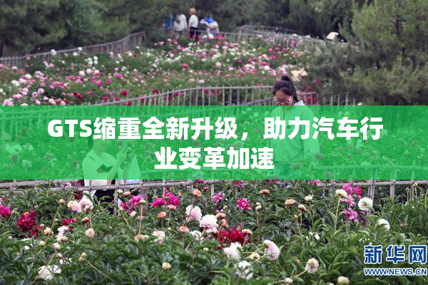 GTS缩重全新升级，助力汽车行业变革加速