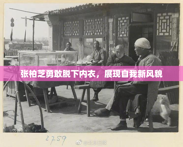 张柏芝勇敢脱下内衣，展现自我新风貌