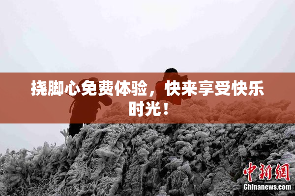 挠脚心免费体验，快来享受快乐时光！