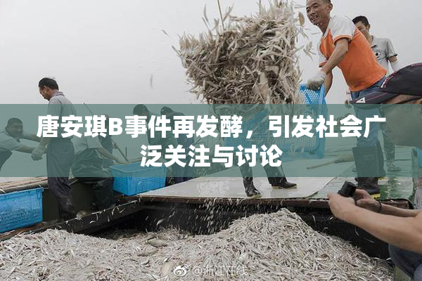 唐安琪B事件再发酵，引发社会广泛关注与讨论
