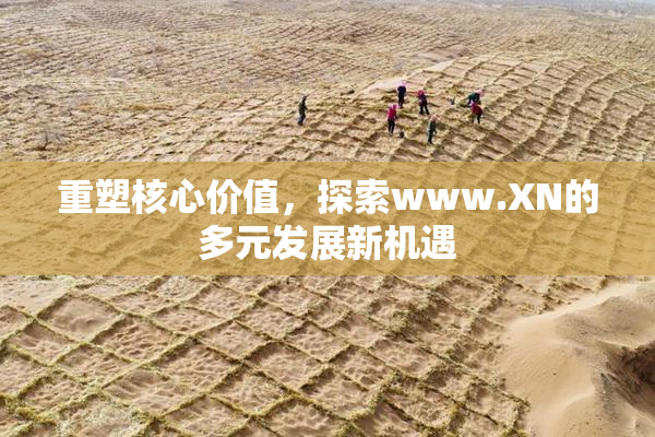 重塑核心价值，探索www.XN的多元发展新机遇