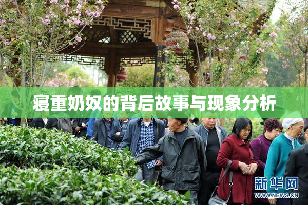 寝重奶奴的背后故事与现象分析