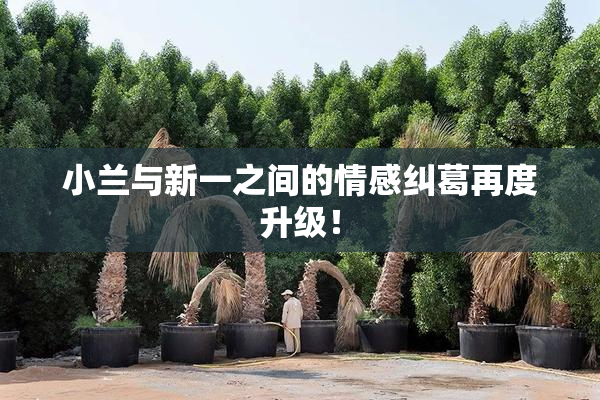 小兰与新一之间的情感纠葛再度升级！