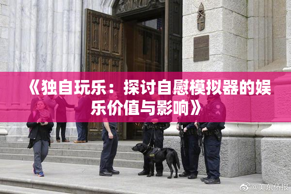 《独自玩乐：探讨自慰模拟器的娱乐价值与影响》