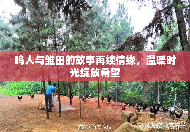 鸣人与雏田的故事再续情缘，温暖时光绽放希望