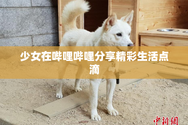 少女在哔哩哔哩分享精彩生活点滴