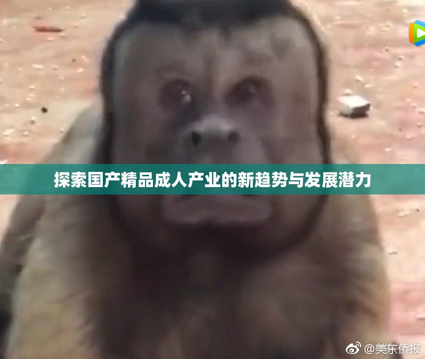 探索国产精品成人产业的新趋势与发展潜力