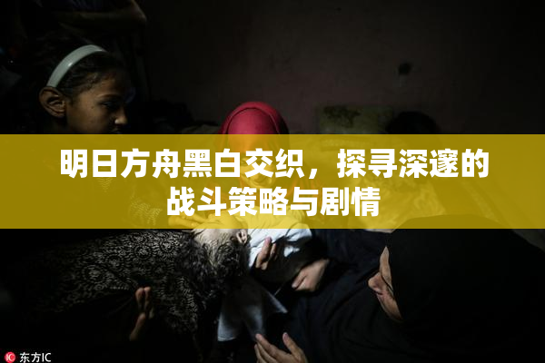 明日方舟黑白交织，探寻深邃的战斗策略与剧情