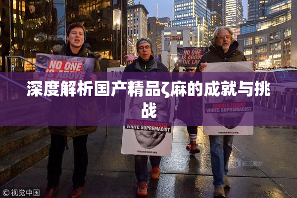 深度解析国产精品ζ麻的成就与挑战